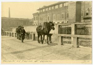 SC_F_SUP-3a060-0004982_IMG-0000004900