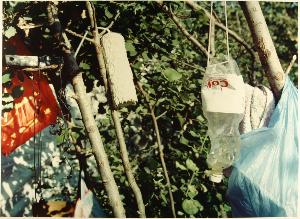 SC_F_SUP-3a090-0000048_IMG-0000003966