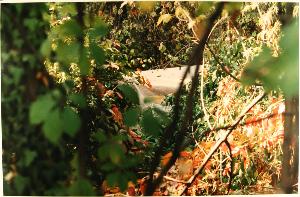 SC_F_SUP-3a090-0000053_IMG-0000003971