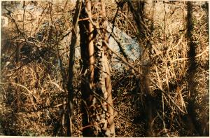 SC_F_SUP-3a090-0000057_IMG-0000003975