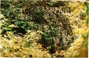 SC_F_SUP-3a090-0000059_IMG-0000003977