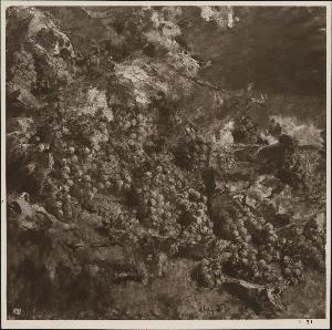 SC_F_SUP-3a110-0000896_IMG-0000029155