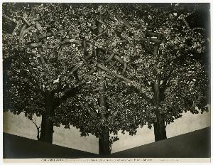 SC_F_SUP-3a130-0000670_IMG-0000000712