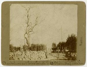 SC_F_SUP-3a130-0001013_IMG-0000002956