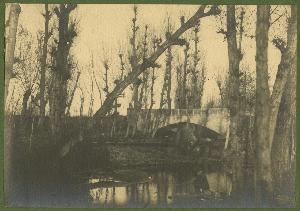 SC_F_SUP-3a130-0001095_IMG-0000003038
