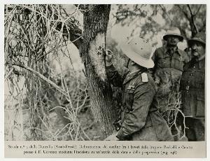 SC_F_SUP-3a130-0001604_IMG-0000003520