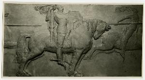 SC_F_SUP-3a130-0003124_IMG-0000005481