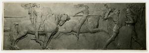 SC_F_SUP-3a130-0003131_IMG-0000005488