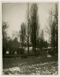 SC_F_SUP-3a130-0003508_IMG-0000005559