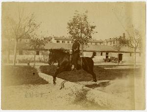 SC_F_SUP-3a130-0003528_IMG-0000005578