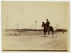 SC_F_SUP-3a130-0003533_IMG-0000005583