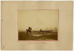 SC_F_SUP-3a130-0003547_IMG-0000005597