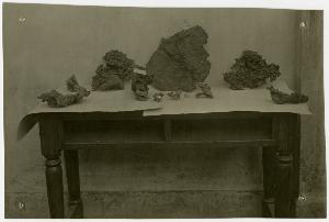 SC_F_SUP-3a130-0003879_IMG-0000005926