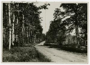 SC_F_SUP-3a130-0004022_IMG-0000006068