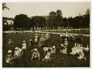 SC_F_SUP-3a130-0005343_IMG-0000007244