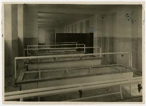 SC_F_SUP-3a130-0005467_IMG-0000007367