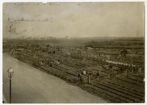 SC_F_SUP-3a130-0005543_IMG-0000007443