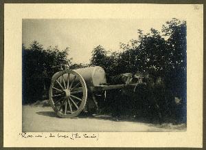SC_F_SUP-3a130-0006635_IMG-0000008408
