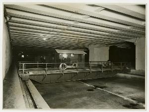 SC_F_SUP-3a130-0007913_IMG-0000009294