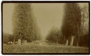 SC_F_SUP-3a130-0019329_IMG-0000036693