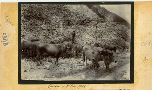 SC_F_SUP-3a130-0019484_IMG-0000036846