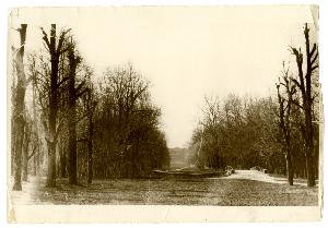 SC_F_SUP-3a130-0019881_IMG-0000037240