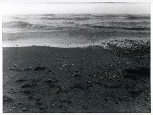 SC_F_SUP-3a130-0040437_IMG-0000038900