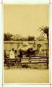 SC_F_SUP-3a130-0060421_IMG-0000040589