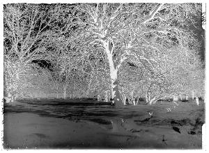 SC_F_SUP-3a130-0062208_IMG-0000042726