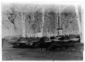 SC_F_SUP-3a130-0062211_IMG-0000042729