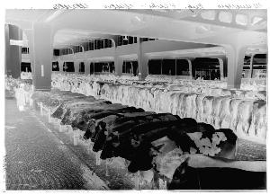 SC_F_SUP-3a130-0062414_IMG-0000042931