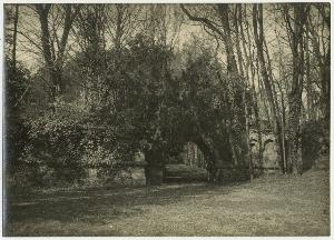 SC_F_SUP-3a130-0071007_IMG-0000044901