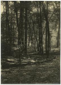 SC_F_SUP-3a130-0071012_IMG-0000044906