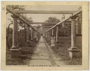 SC_F_SUP-3a130-0071099_IMG-0000044990