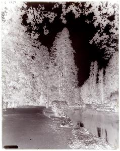 SC_F_SUP-3a130-0080050_IMG-0000047339