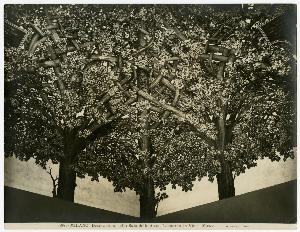 SC_F_SUP-3a140-0000034_IMG-0000000906