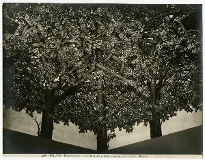 SC_F_SUP-3a140-0000035_IMG-0000000907