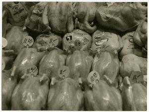 SC_F_SUP-3a140-0000316_IMG-0000015208