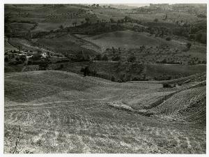 SC_F_SUP-3a140-0000362_IMG-0000015254