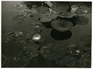 SC_F_SUP-3a150-0000248_IMG-0000015366