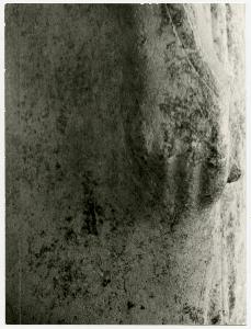 SC_F_SUP-3a160-0000055_IMG-0000015483