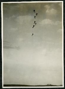 SC_F_SUP-3a230-0000013_IMG-0000003638
