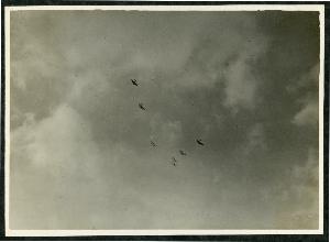 SC_F_SUP-3a230-0000014_IMG-0000003639