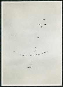 SC_F_SUP-3a230-0000015_IMG-0000003640