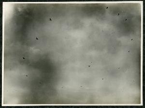 SC_F_SUP-3a230-0000018_IMG-0000003643