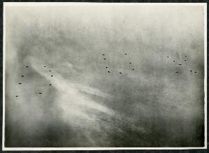 SC_F_SUP-3a230-0000021_IMG-0000003646