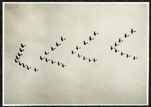 SC_F_SUP-3a230-0000024_IMG-0000003649