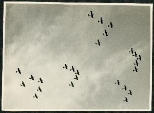 SC_F_SUP-3a230-0000026_IMG-0000003651