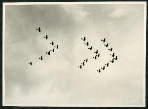 SC_F_SUP-3a230-0000027_IMG-0000003652