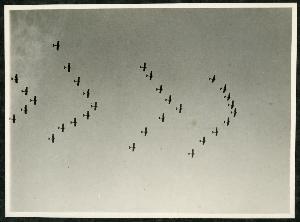SC_F_SUP-3a230-0000029_IMG-0000003654